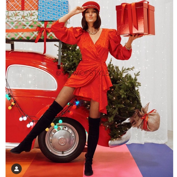 Ronny Kobo LILIAN ZEBRA MOIRÉ MINI DRESS - Picture 7 of 13